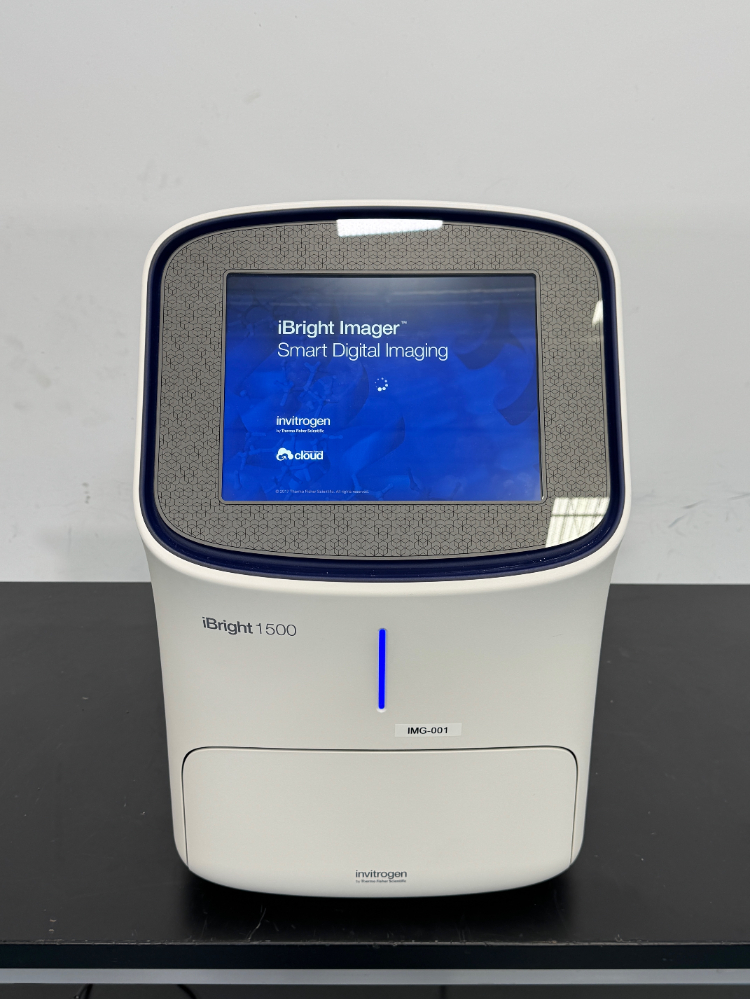 Image of Invitrogen iBright 1500 Imaging System